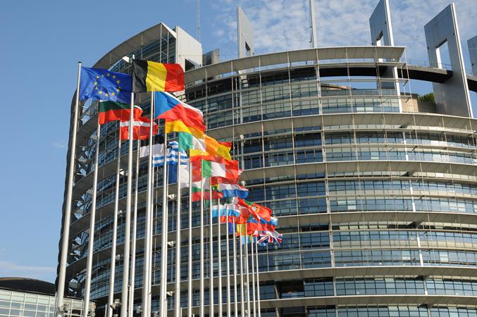 Resolución del Parlamento Europeo sobre normas mínimas comunes del proceso civil en la UE | 